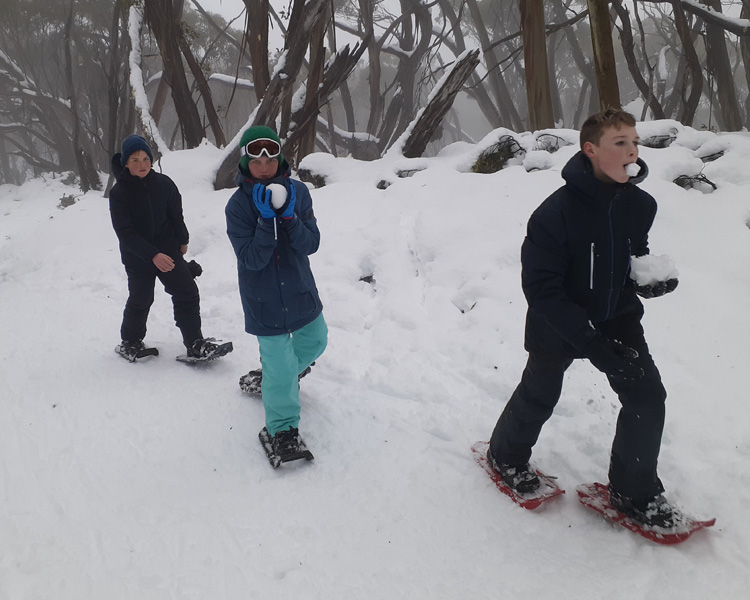 Snow Shoeing