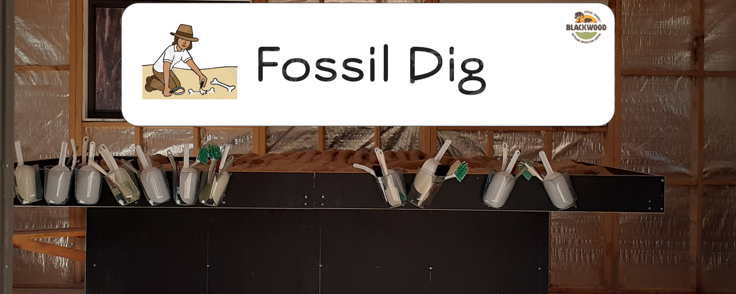 Fossil Dig
