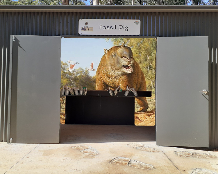 Fossil Dig
